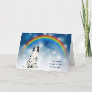 Loss of English Setter Dog Night Lights Sympathy Holiday Card