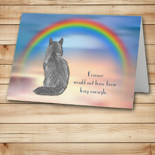 Loss of Grey Cat Rainbow Sympathy Card