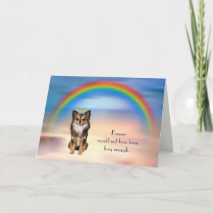 Loss of Long Hair Chihuahua Rainbow Sympathy Card
