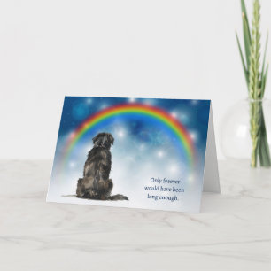Loss of Newfoundland Dog Night Lights Sympathy Holiday Card