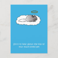 Loss of Pet Chinchilla Sympathy