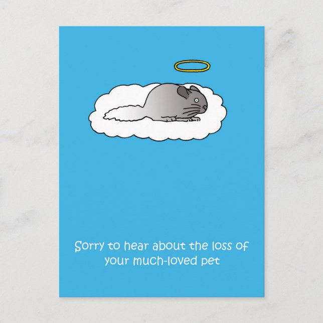 Loss of Pet Chinchilla Sympathy Postcard (Front)