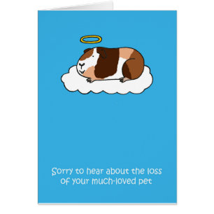 Loss of Pet Guinea Pig Sympathy