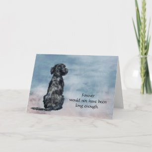 Loss of Portugese Water Dog Sympathy Card