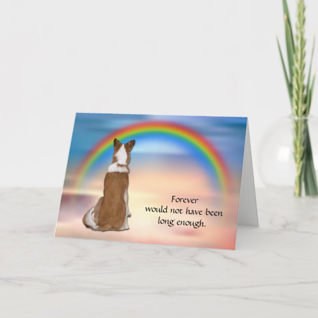 Loss of Red Border Collie Rainbow Sympathy Card (Front)
