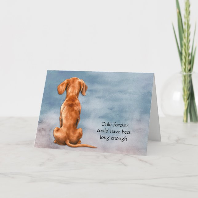 Loss of Vizsla Dog Sympathy Card (Front)