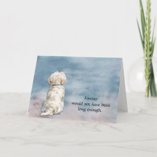 Loss of White Maltese Dog Sympathy Card