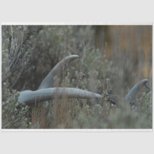 Lost Antlers Tissue Paper