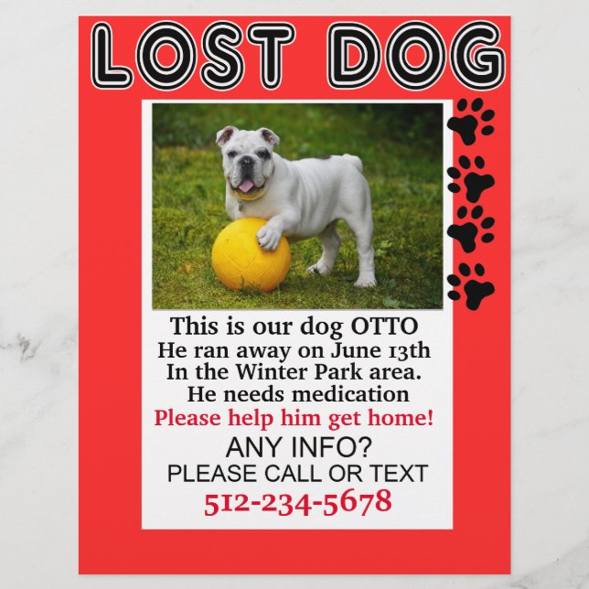 Lost Dog Flyer Please Help Him Get Home Notice (Front)