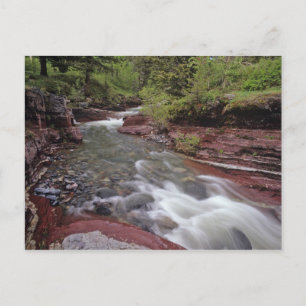 Lost Horse Creek in Waterton Lakes National Park Postcard