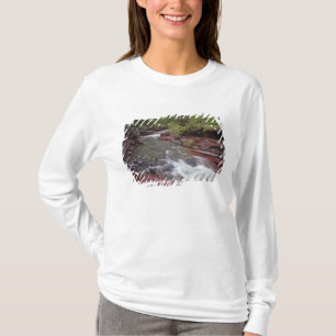 Lost Horse Creek in Waterton Lakes National Park T-Shirt