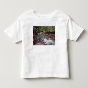 Lost Horse Creek in Waterton Lakes National Park Toddler T-Shirt
