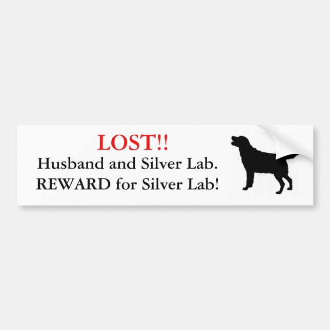 Lost Husband and Silver Lab. Reward! Bumper Sticker (Front)