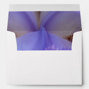 Lost in a Dream Envelope
