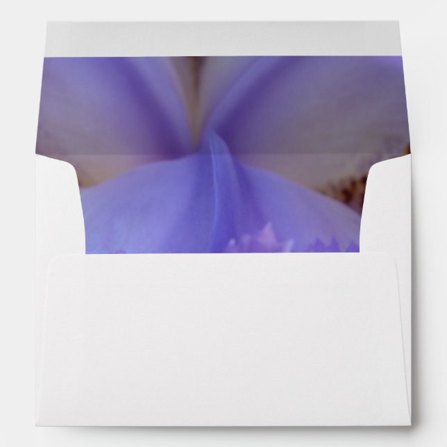 Lost in a Dream Envelope (Back (Bottom))