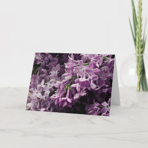 Lost in Lilac Card