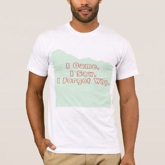 Lost in Style – “I Forgot Why” Funny T-Shirt