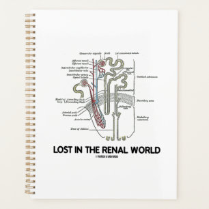 Lost In The Renal World Kidney Nephron Planner