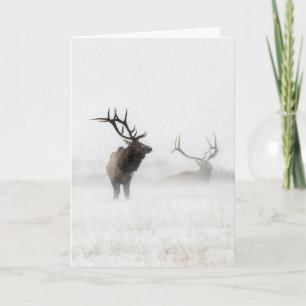 "Lost in the Storm" Holiday Card