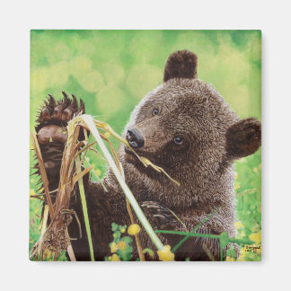 Lost in Wonder Magnet