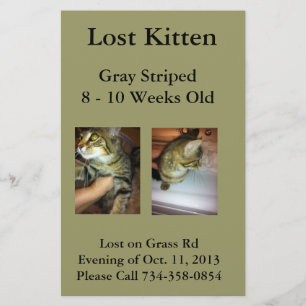 Lost Kitten Flyer