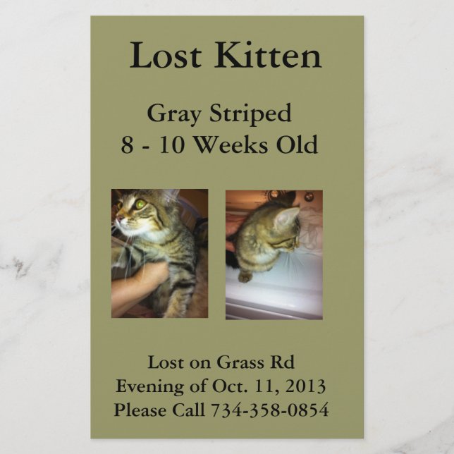 Lost Kitten Flyer (Front)