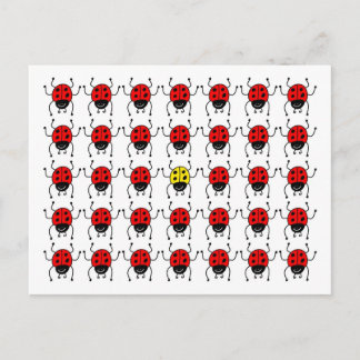 lost ladybug postcard