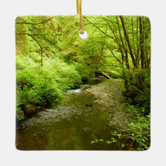 Lost Man Creek I at Redwood National Park Ceramic Ornament