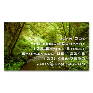 Lost Man Creek I at Redwood National Park Magnetic Business Card