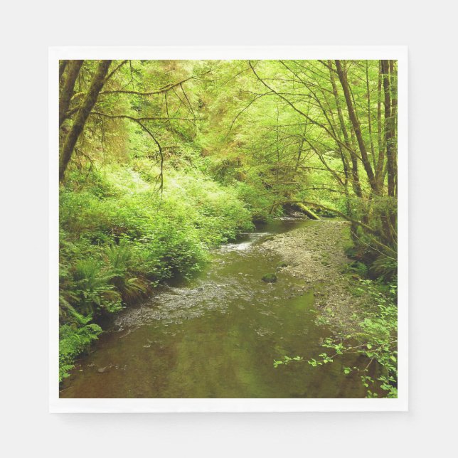 Lost Man Creek I at Redwood National Park Napkin (Front)