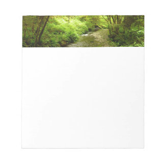 Lost Man Creek I at Redwood National Park Notepad