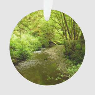 Lost Man Creek I at Redwood National Park Ornament