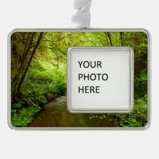 Lost Man Creek I at Redwood National Park Silver Plated Framed Ornament