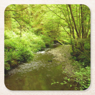 Lost Man Creek I at Redwood National Park Square Paper Coaster