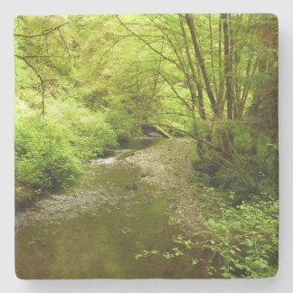 Lost Man Creek I at Redwood National Park Stone Coaster