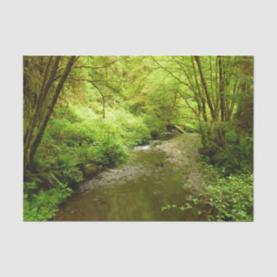 Lost Man Creek I at Redwood National Park Tissue Paper