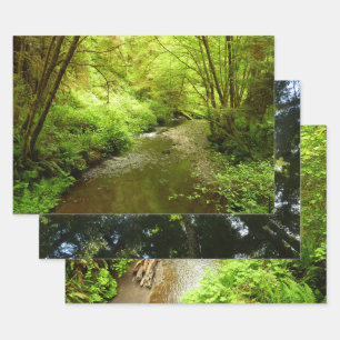 Lost Man Creek I at Redwood National Park Wrapping Paper Sheet