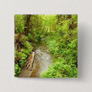 Lost Man Creek II at Redwood National Park 15 Cm Square Badge