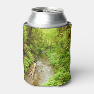Lost Man Creek II at Redwood National Park Can Cooler
