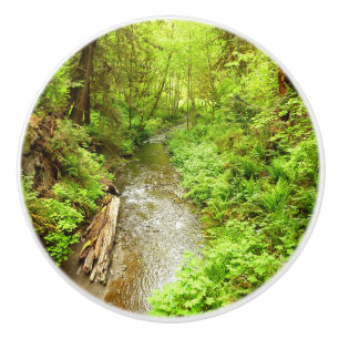 Lost Man Creek II at Redwood National Park Ceramic Knob