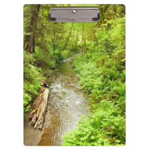 Lost Man Creek II at Redwood National Park Clipboard