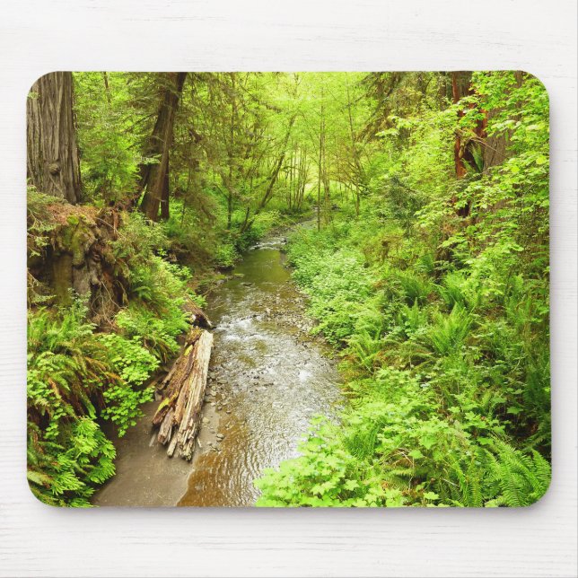 Lost Man Creek II at Redwood National Park Mouse Pad (Front)