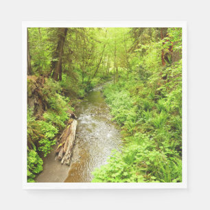 Lost Man Creek II at Redwood National Park Napkin
