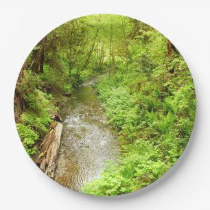Lost Man Creek II at Redwood National Park Paper Plate