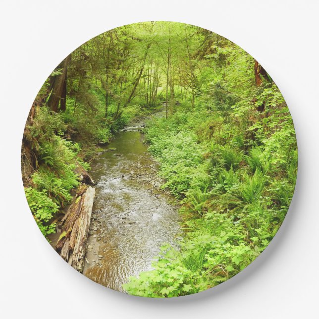 Lost Man Creek II at Redwood National Park Paper Plate (Front)