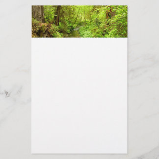 Lost Man Creek II at Redwood National Park Stationery