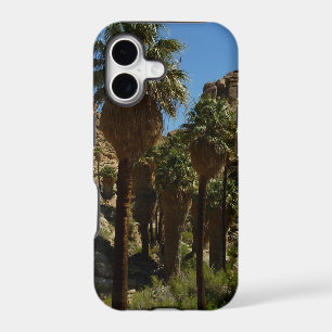 Lost Palms Oasis I at Joshua Tree National Park