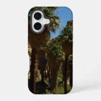 Lost Palms Oasis I at Joshua Tree National Park