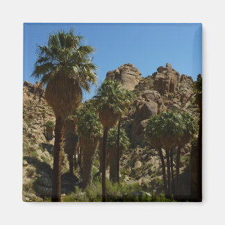 Lost Palms Oasis I at Joshua Tree National Park Magnet
