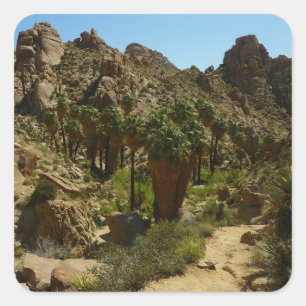 Lost Palms Oasis II at Joshua Tree National Park Square Sticker